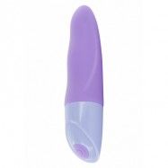 PASSION MINI VIBE PURPLE MINI VIBRATOR