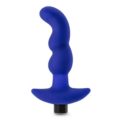 Performance Plus Charger