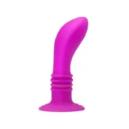Pretty Love Booty Passion Vibrator Plug 10V