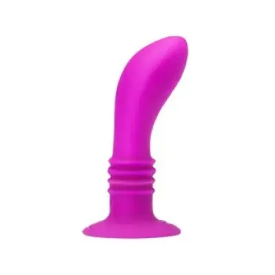 Pretty Love Booty Passion Vibrator Plug 10V