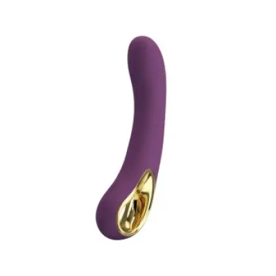 Pretty Love Ethan Rechargeable Vibrator Lila