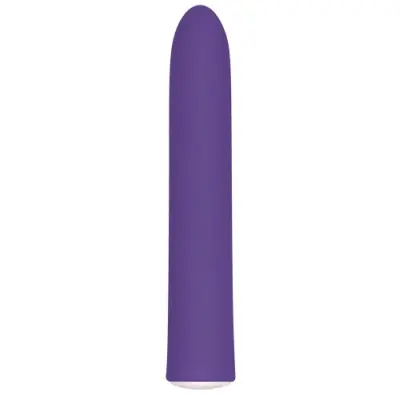Rechargeable Slim Purple Vibe