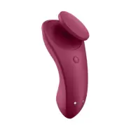 Satisfyer - Sexy Secret Panty Vibrator, Burgundy