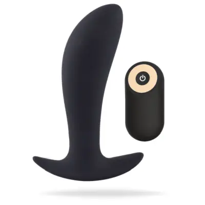 Secret lover anal vibrator
