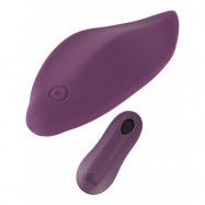 Sweet Smile: Remote Controlled Panty Vibrator