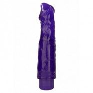 SWEET SYLVESTER VIBRATOR PURPLE