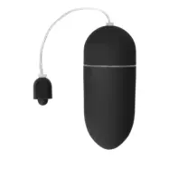 10 Speed Vibrating Egg