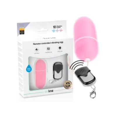 Online Remote Control Vibrating Egg L Pink