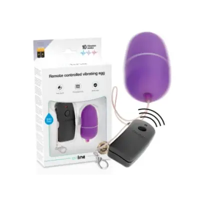 Online Remote Controlled Vibrating Egg Purple