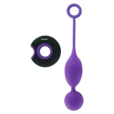 Toyjoy Embrace Ii Remote Control Egg Purple