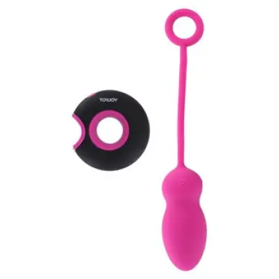 Toyjoy Embrace I Remote Control Egg Pink