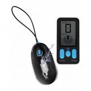 Zeus Electrosex: E-Stim Pro, E-Stim + Vibrating Egg with Remote